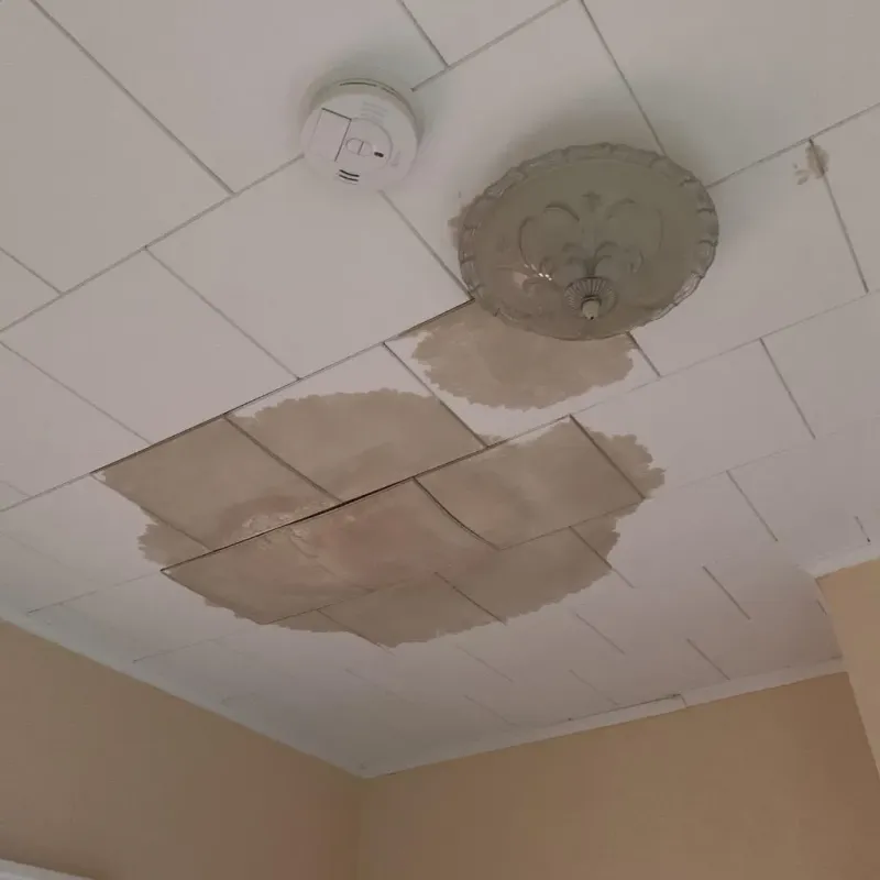 Ceiling Water Damage Repair in El Paso County, CO