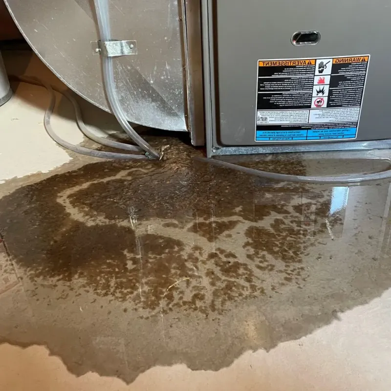 Pipe Burst and Leak Restoration in El Paso County, CO