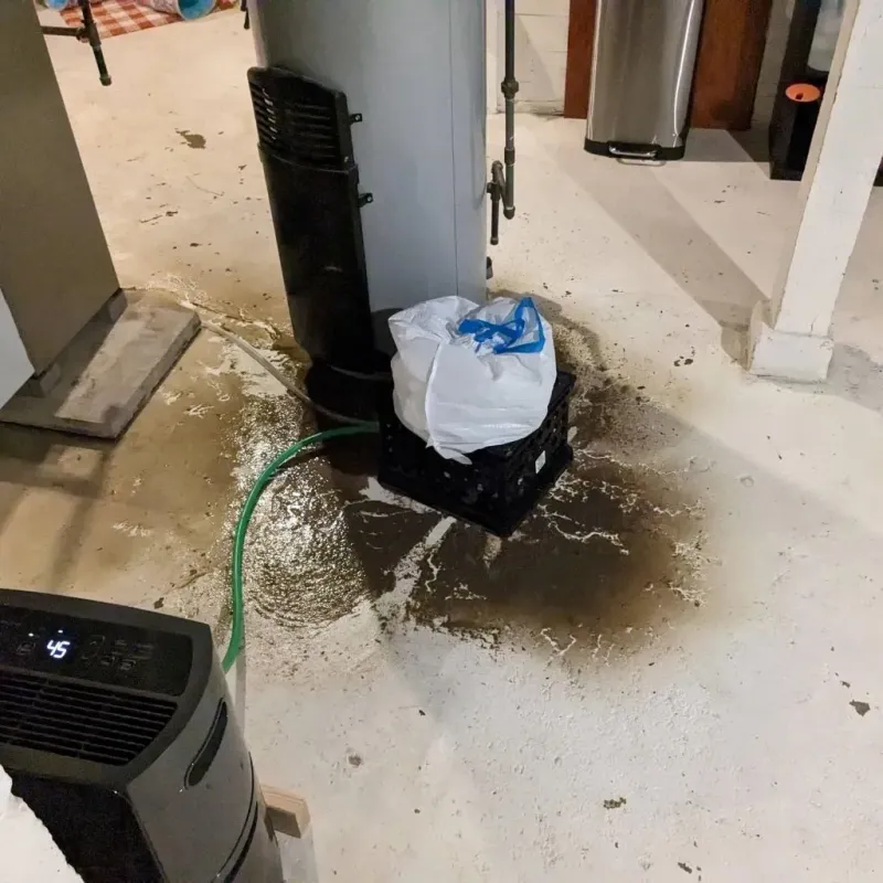 Sewage Backup Cleanup Service in El Paso County, CO